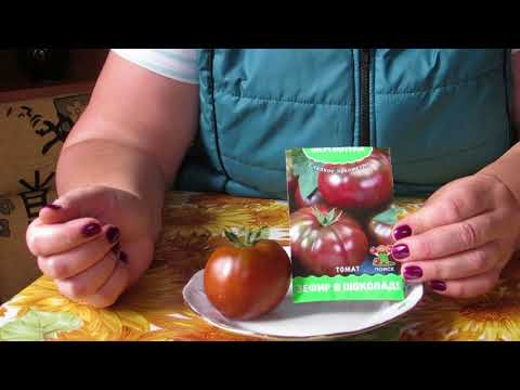 Tomato marshmallow in chocolate