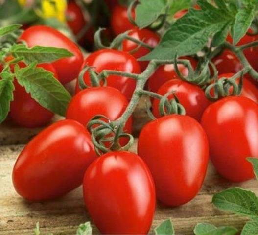 Tomato Marusya: description, reviews