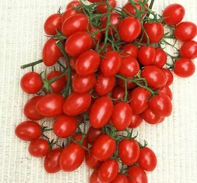 Tomato Marusya: description, reviews