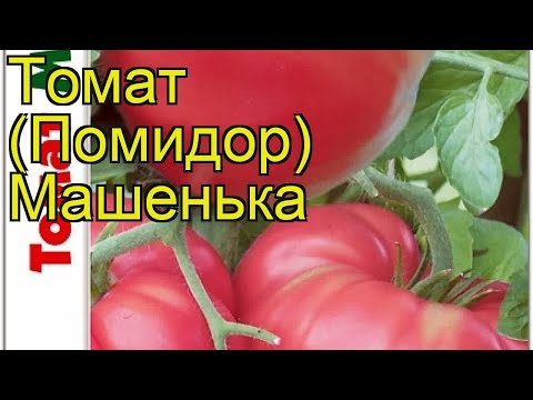 Tomato Mashenka: reviews, photos, yield