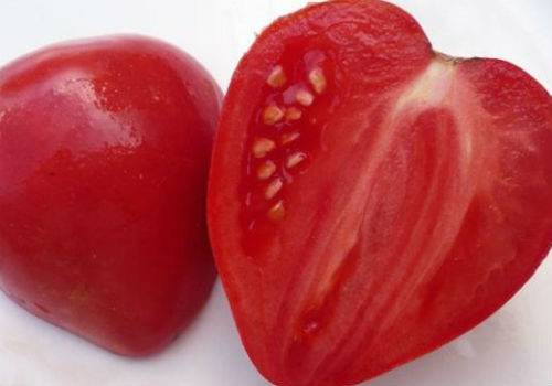 Tomato Mazarini: characteristics and description of the variety