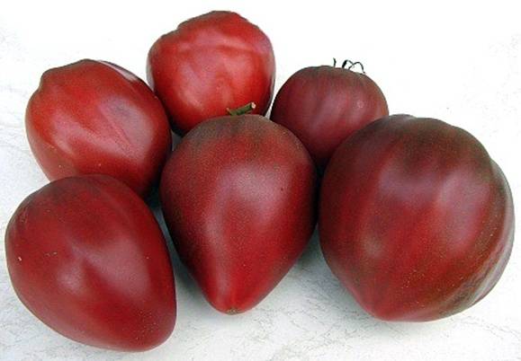 Tomato Merry Dwarf: reviews, description of a series of varieties