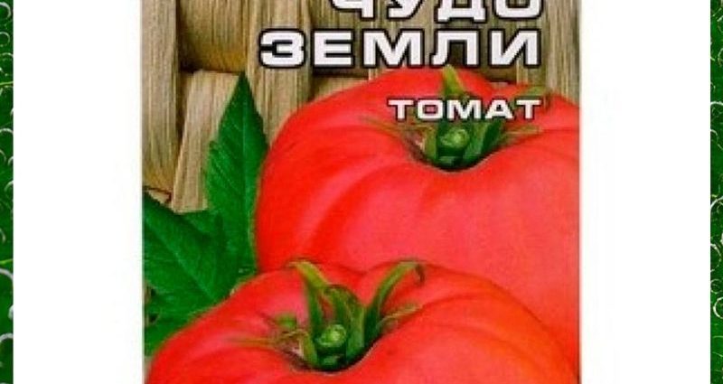 Tomato Miracle of the Earth: variety description, yield information and reviews