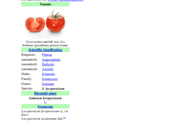 Tomato Morozko: characteristics and description of the variety