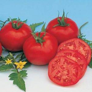 Tomato Moskvich: reviews, photos