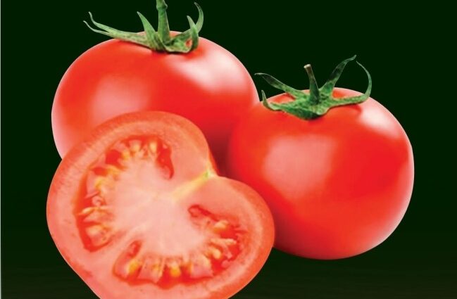 Tomato My love F1: characteristics and description of the variety