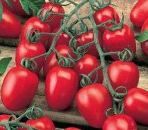 Tomato Nastya-sweet: variety description, photos, reviews