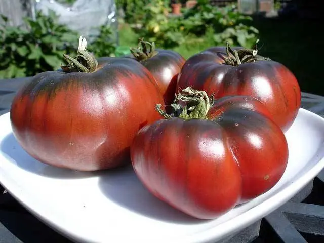 Tomato Negro: characteristics and description of the variety