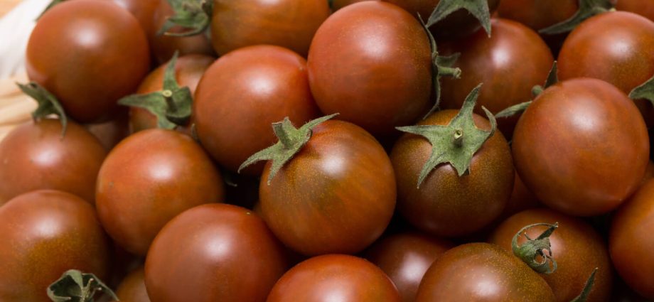 Tomato Negro: characteristics and description of the variety