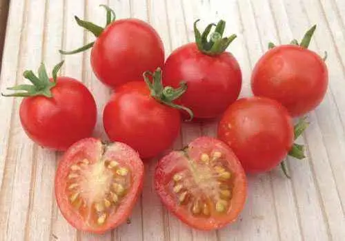 Tomato Olesya: reviews, photos, productivity, characteristics