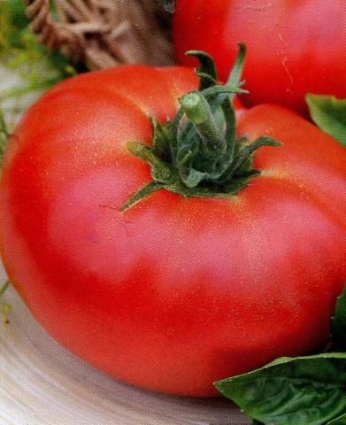 Tomato Openwork