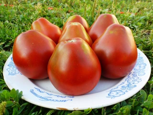 Tomato Pear: characteristics and description of the variety