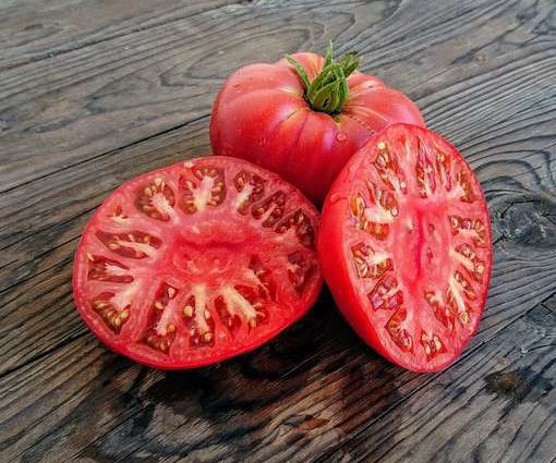 Tomato Pink Elephant: the main differences between the variety and growing features