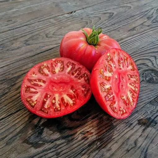 Tomato Pink Elephant: the main differences between the variety and growing features