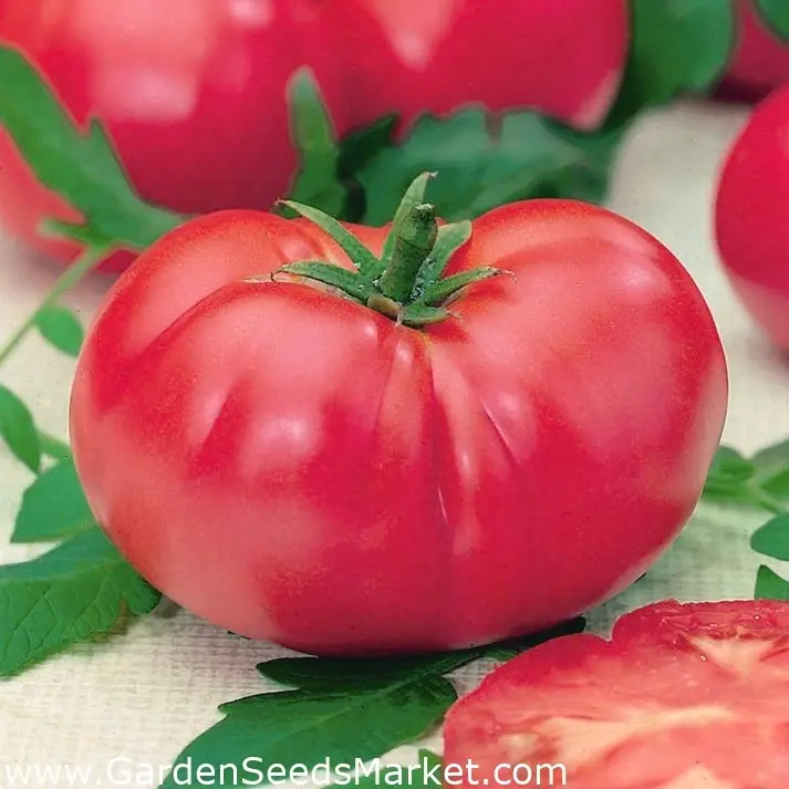 Tomato Pink King: reviews, photos, yield