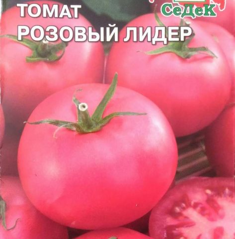 Tomato Pink leader: characteristics and description of the variety