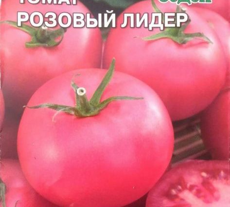 Tomato Pink leader: characteristics and description of the variety