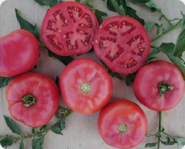 Tomato Pink Miracle F1: reviews, photos, yield