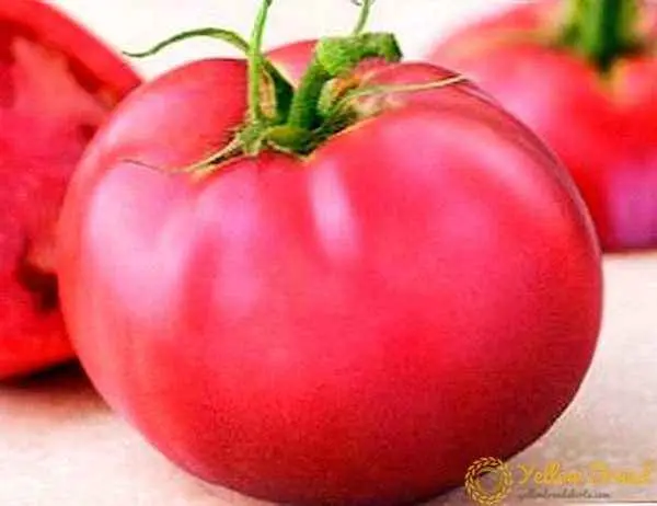 Tomato Pink Paradise F1