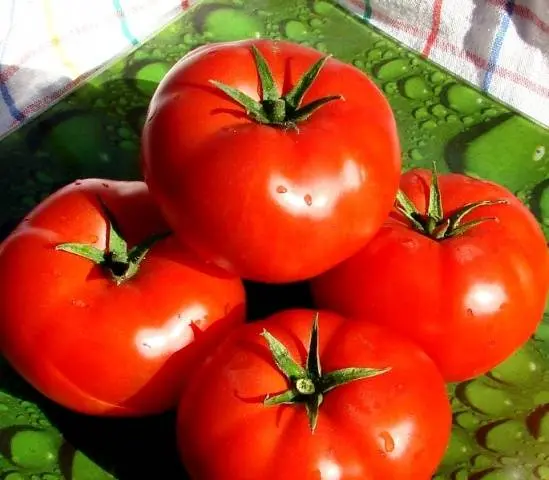 Tomato President: characteristics and description of the variety