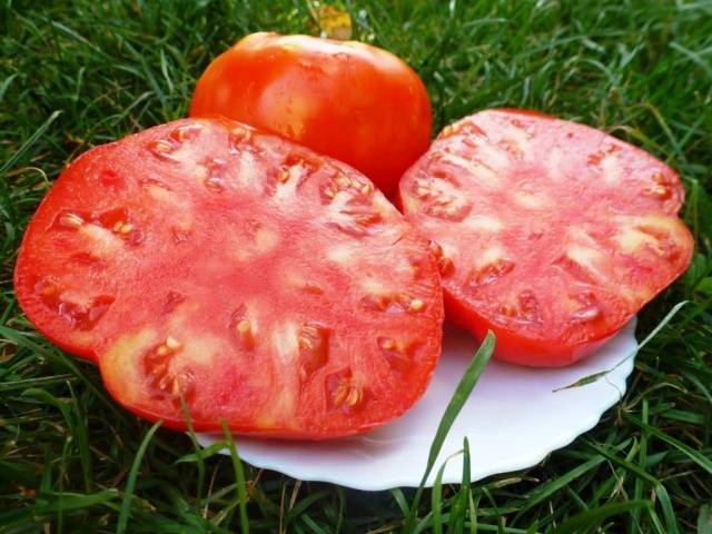 Tomato Pride of Siberia: reviews + photos