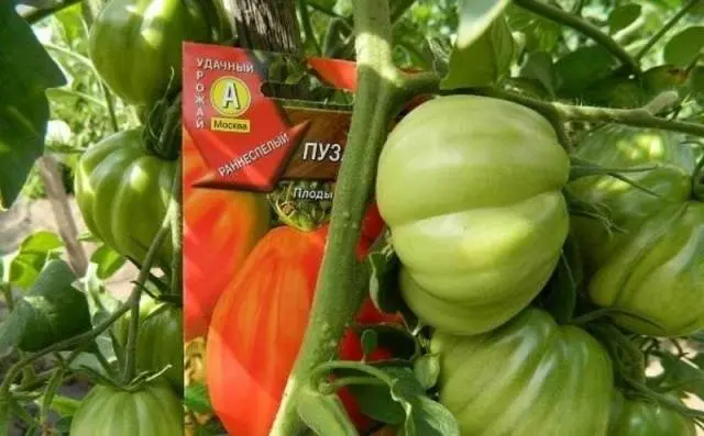 Tomato Puzata hata: characteristics and description of the variety