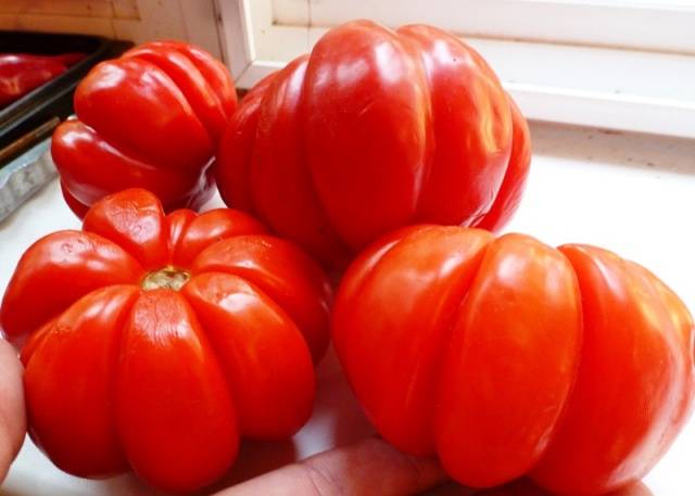 Tomato Puzata hata: characteristics and description of the variety