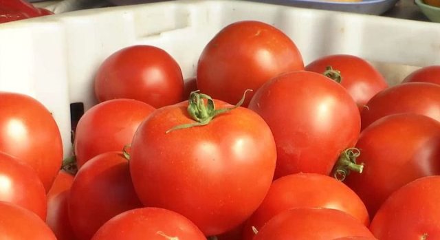 Tomato recipes for the winter without sterilization