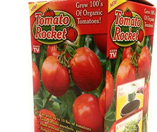 Tomato Rocket: reviews, photos, yield