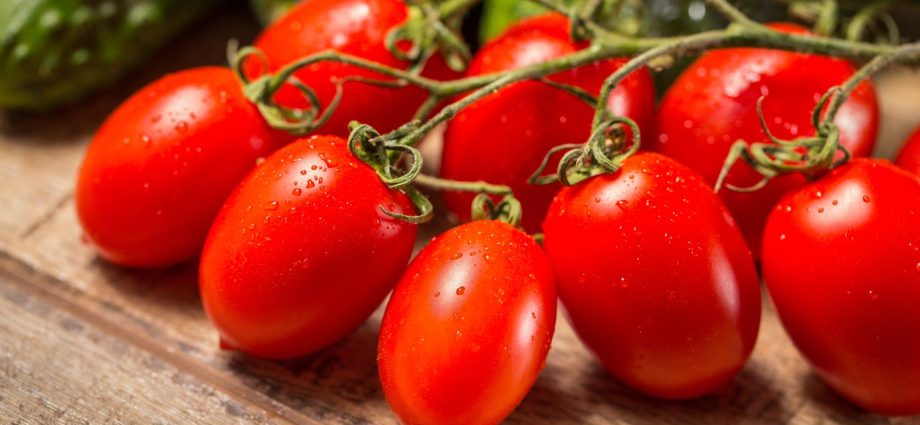 Tomato Roma: variety description, photos, reviews