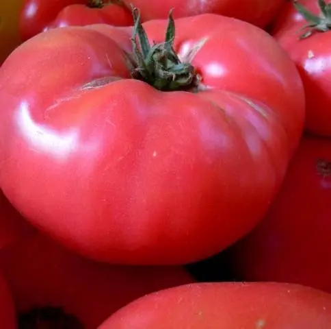 Tomato Rose Honey