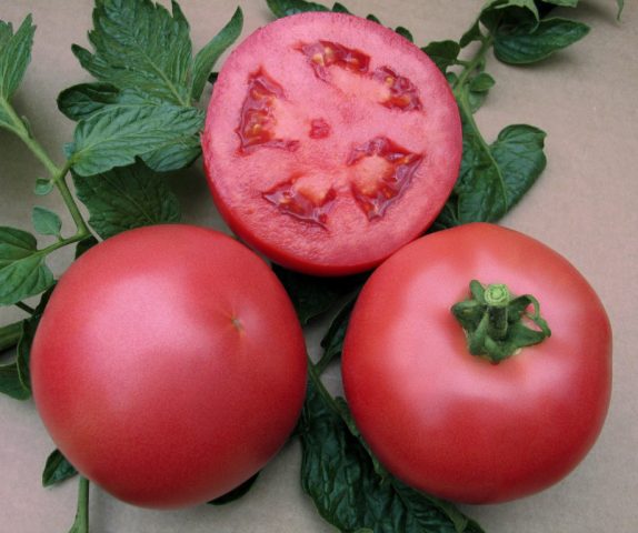 Tomato Rosemary F1: reviews, photos, yield