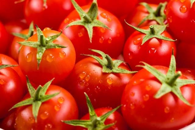 Tomato seeds for the Leningrad region: varieties, cultivation