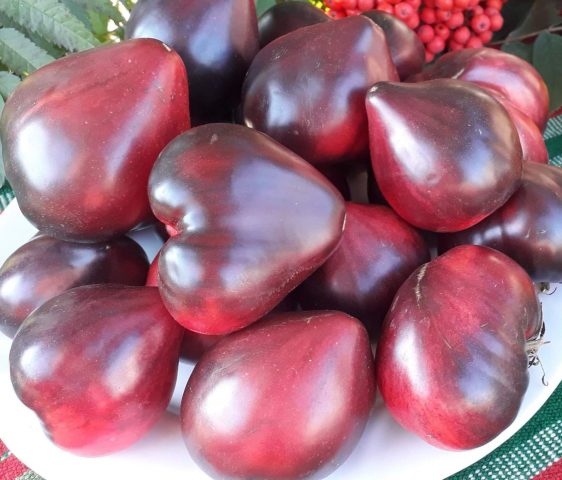 Tomato Sergeant Pepper: reviews, photos, yield