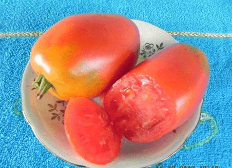 Tomato Siberian Troika: variety description, photos, reviews