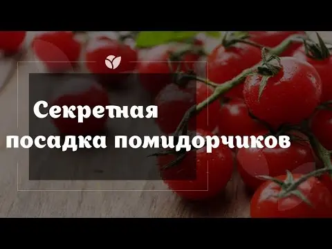 Tomato Siberian trump card: description, photo, reviews