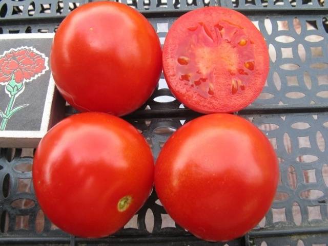 Tomato Solerosso: characteristics and description of the variety