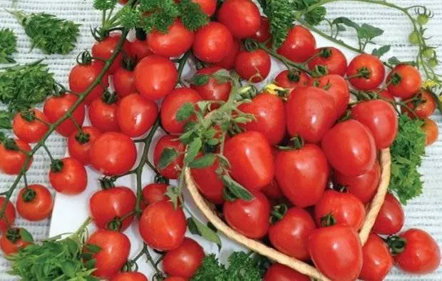 Tomato Strawberry tree: reviews, photos, yield