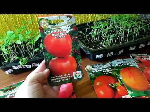 Tomato Strawberry tree: reviews, photos, yield