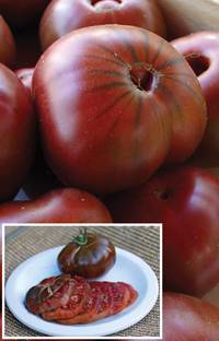 Tomato Sugar brown: characteristics and description of the variety