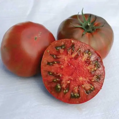 Tomato Sugar brown: characteristics and description of the variety