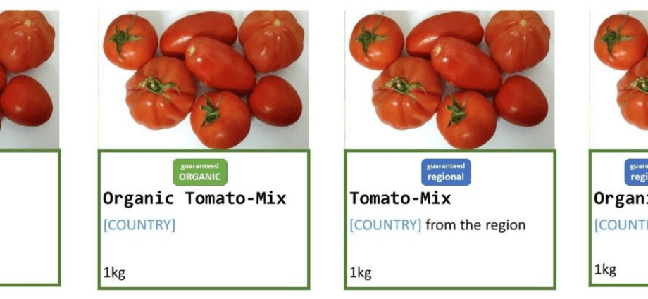 Tomato Swamp: characteristics and description of the variety