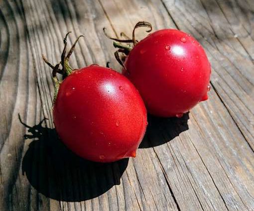 Tomato Syzran pipochka: characteristics and description of the variety