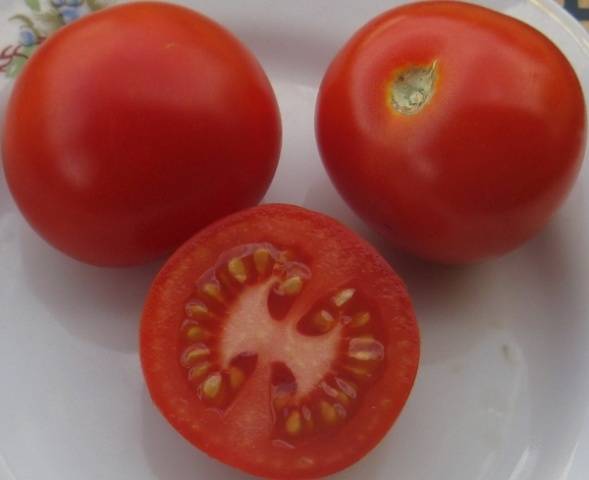 Tomato Taimyr: description, photo, reviews