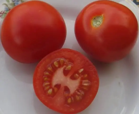 Tomato Taimyr: description, photo, reviews