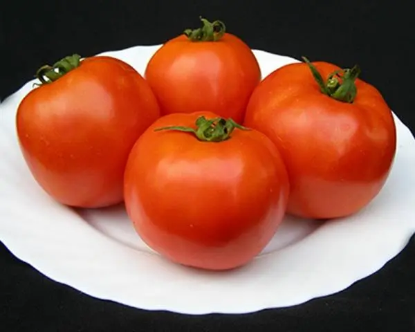 Tomato Tanya: characteristics and description of the variety