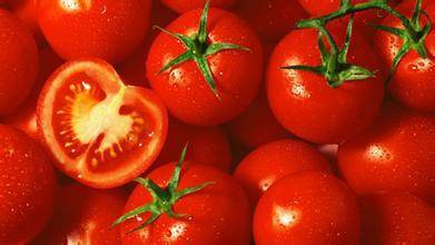 Tomato Tolstoy: characteristics and description of the variety