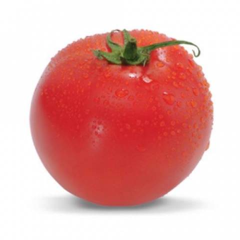 Tomato Tyler F1