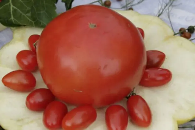 Tomato Ural giant: reviews, photos, yield