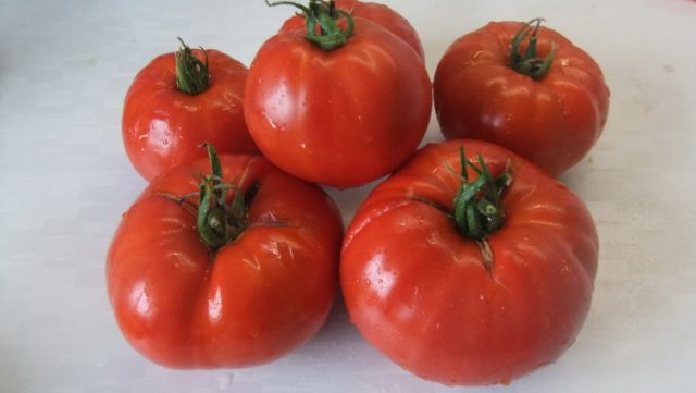 Tomato Ural giant: reviews, photos, yield